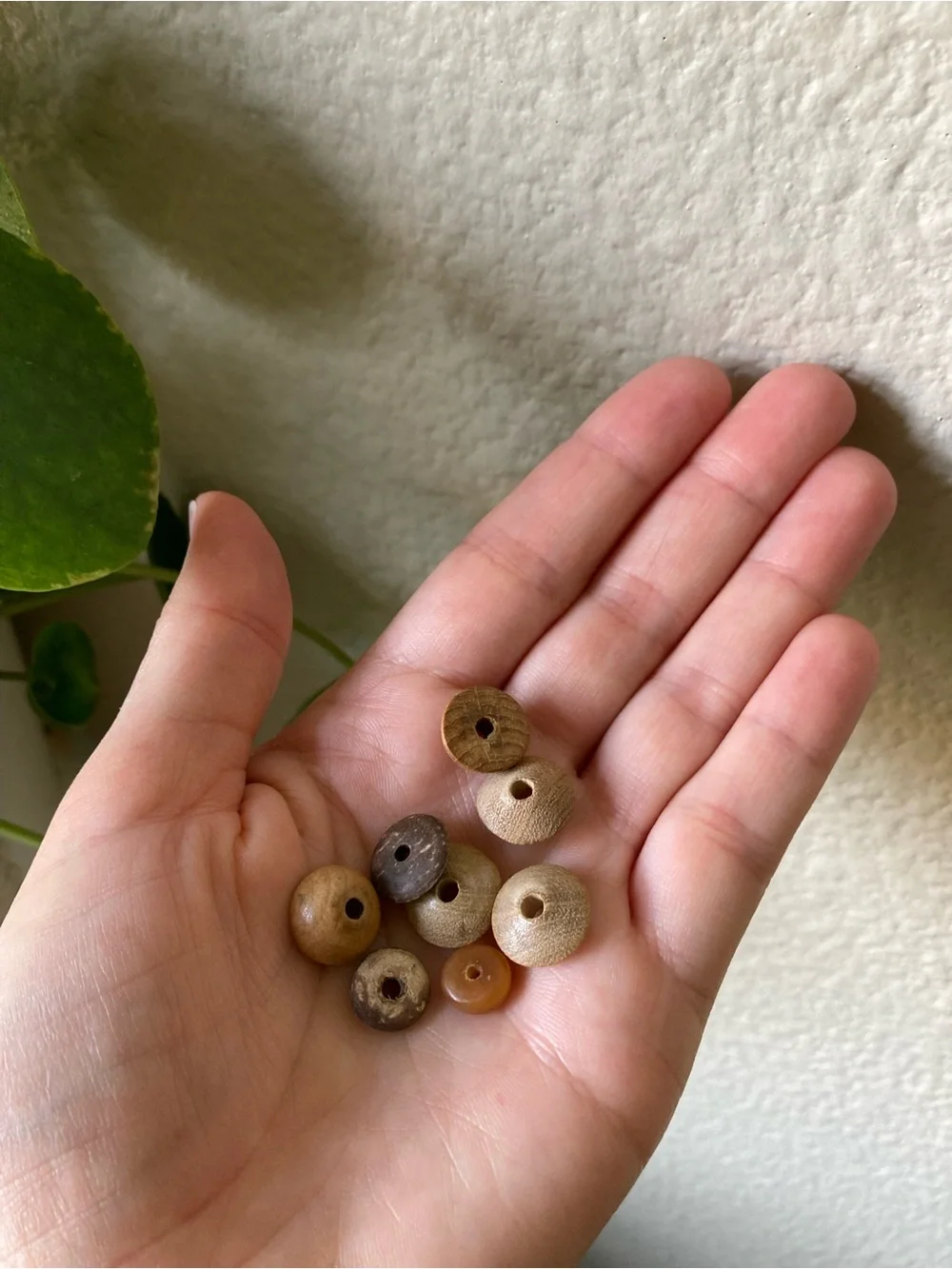Wood, Coconut and Shell Bead Mix with Organizer
